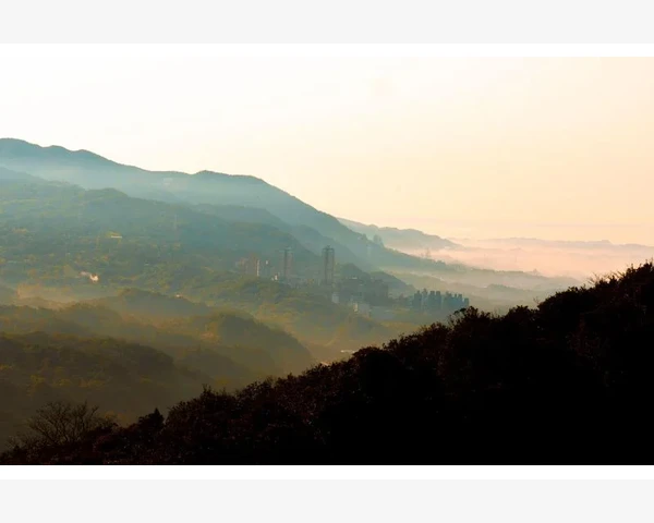 白糖炒焦止咳化痰，中医经典方法助你舒缓咳嗽不适