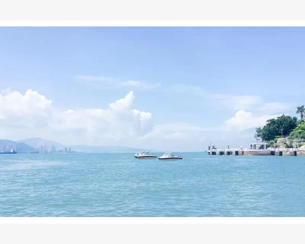 中医调养周期：传承千年的智慧，守护身心健康