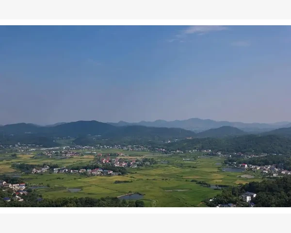 功能性子宫出血的原因是什么？