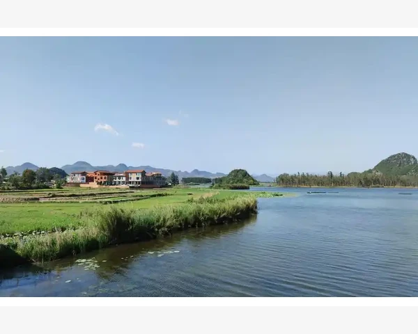 脾胃虚弱者为何适合食用大米粥？