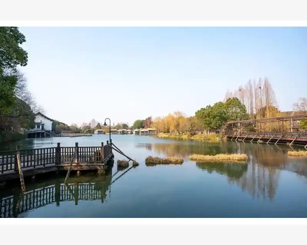 功能性子宫出血的治疗方法与效果分析